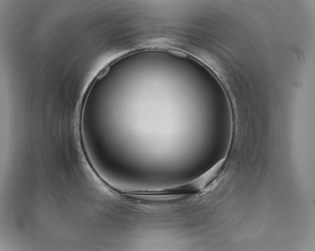 X0000112091392200908041441