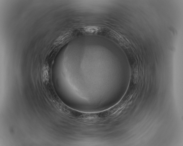 X0000112091394200908041441