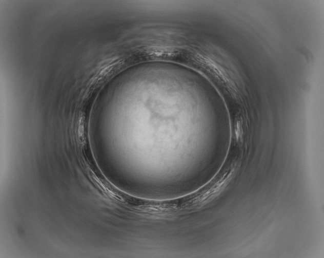 X0000112091396200908041441