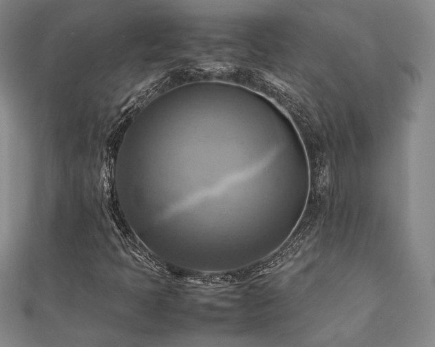 X0000112091397200908041441