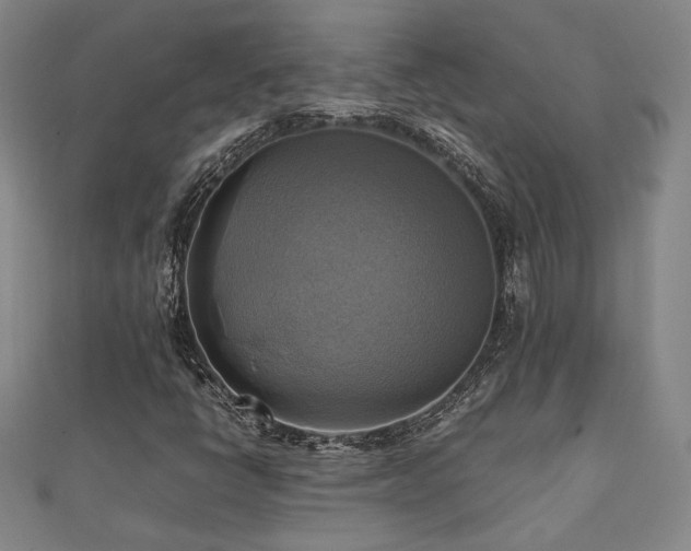 X0000112091398200908041441