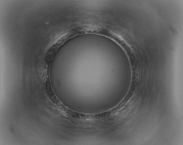 X0000112091399200908041441