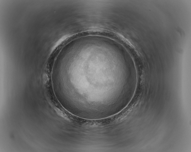 X0000112091400200908041441