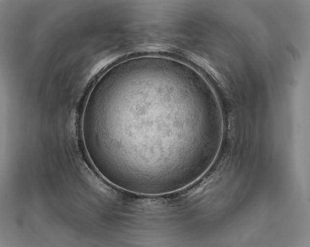 X0000112091404200908041441