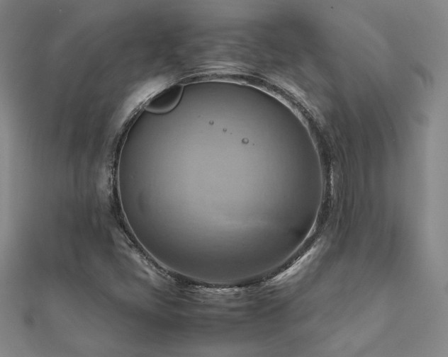 X0000112091405200908041441