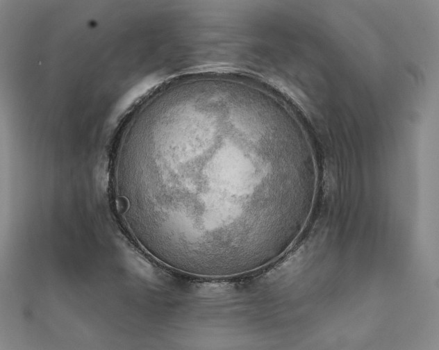 X0000112091406200908041441