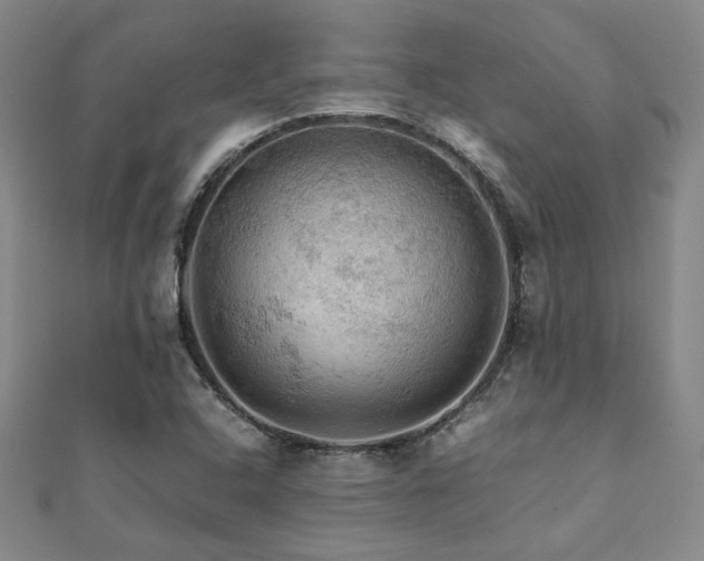 X0000112091408200908041441