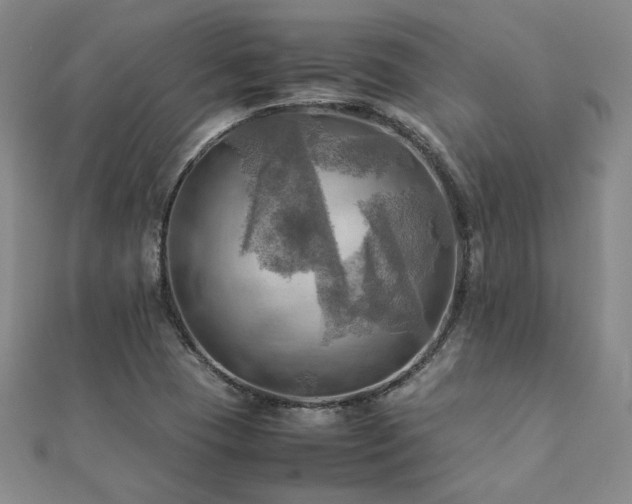 X0000112091409200908041441