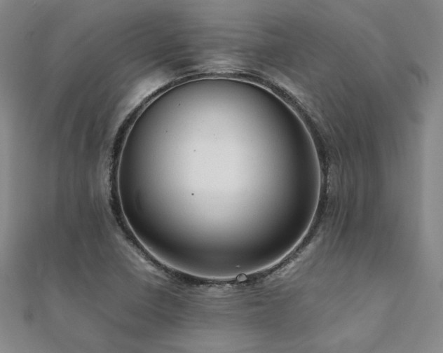 X0000112091410200908041441