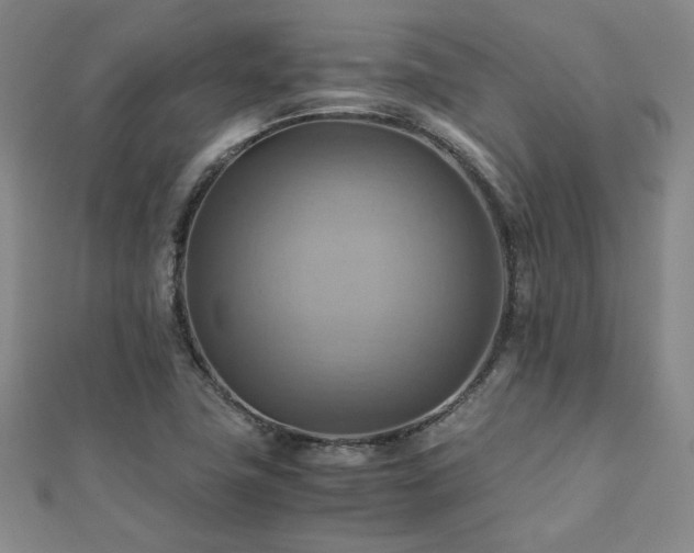 X0000112091411200908041441