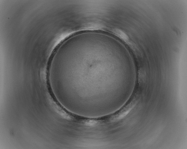 X0000112091412200908041441