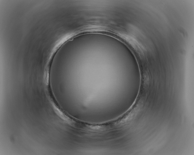 X0000112091413200908041441