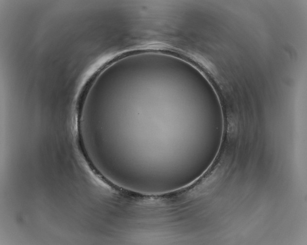 X0000112091414200908041441