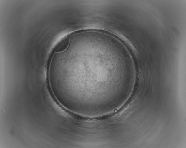 X0000112091416200908041441