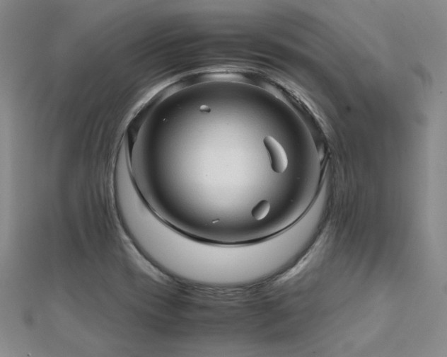 X0000112091417200908041441