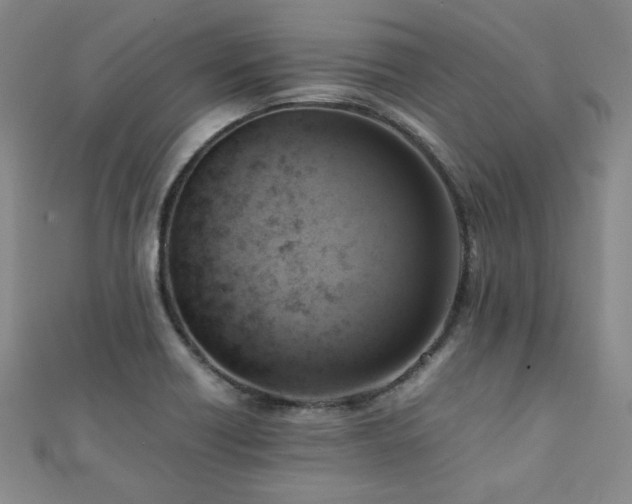 X0000112091418200908041441