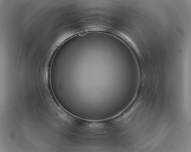 X0000112091419200908041441