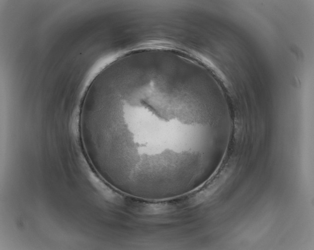X0000112091421200908041441