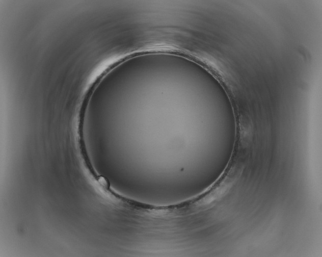 X0000112091422200908041441