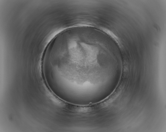 X0000112091423200908041441