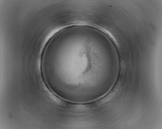 X0000112091424200908041441