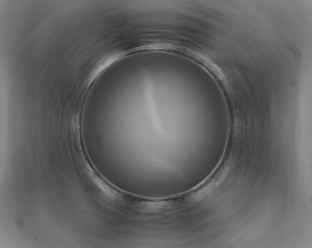 X0000112091425200908041441