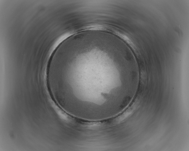 X0000112091426200908041441