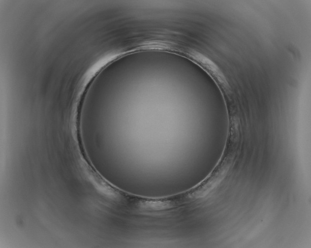 X0000112091427200908041441