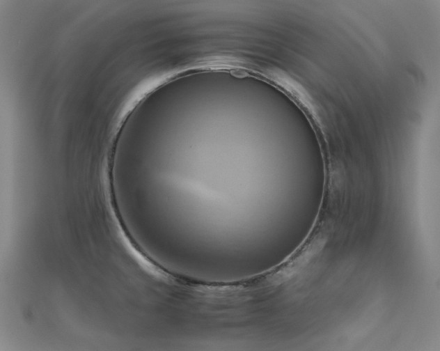 X0000112091429200908041441