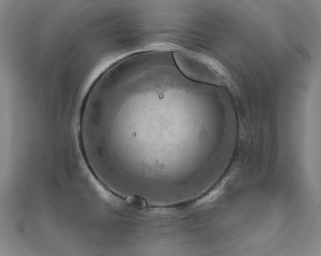 X0000112091430200908041441