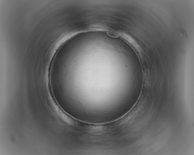 X0000112091431200908041441