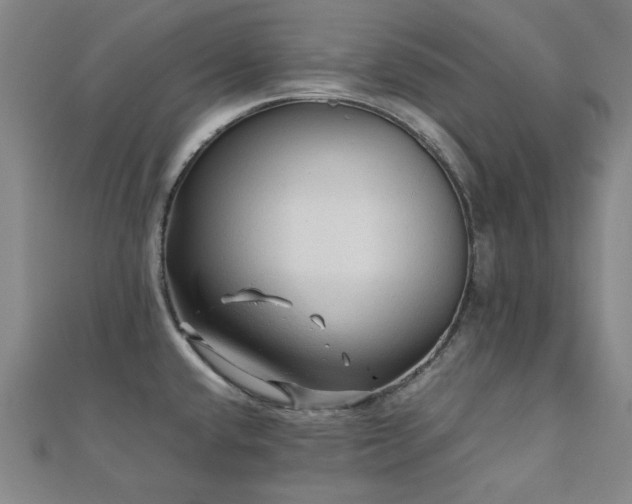 X0000112091432200908041441