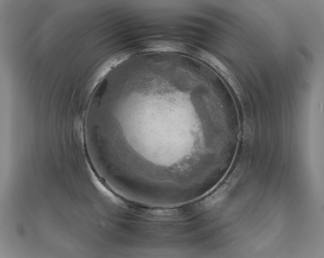 X0000112091433200908041441