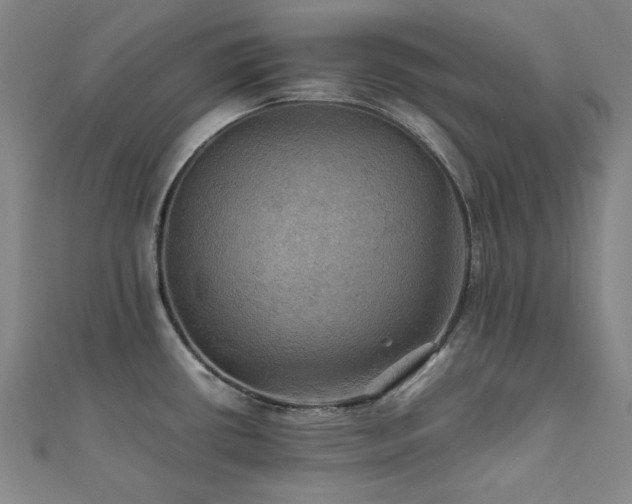 X0000112091434200908041441