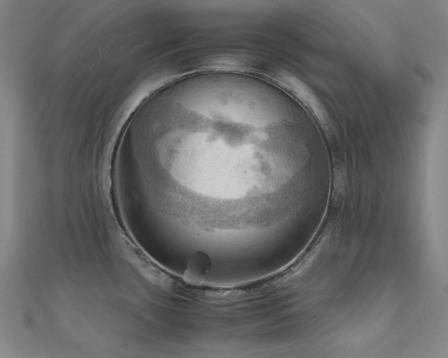 X0000112091435200908041441