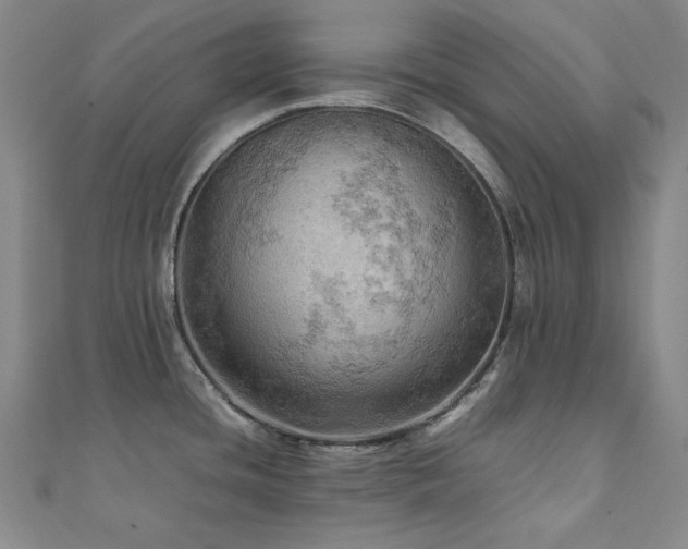 X0000112091436200908041441