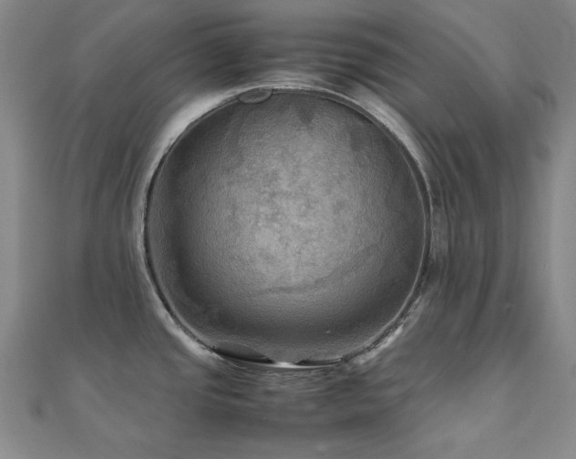 X0000112091437200908041441