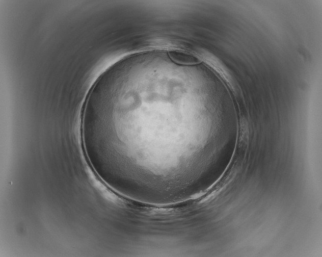 X0000112091439200908041441
