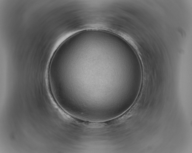 X0000112091440200908041441