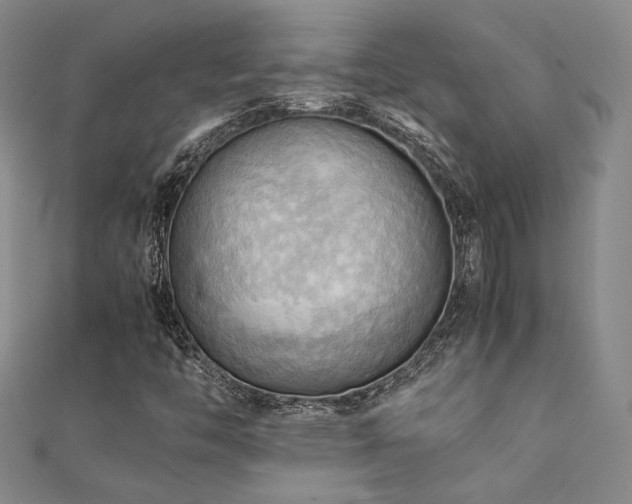 X0000112091446200908041440