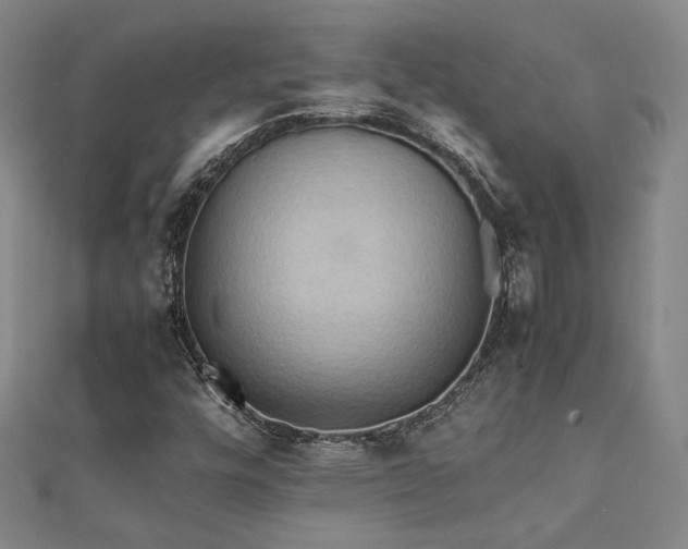X0000112091448200908041440