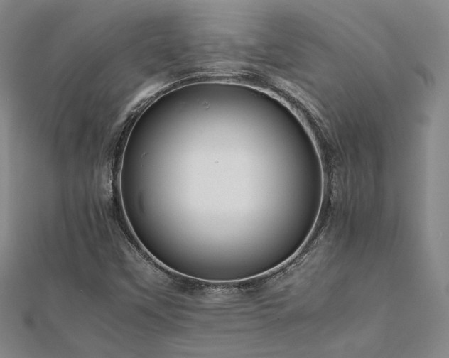 X0000112091451200908041440