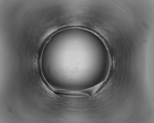 X0000112091452200908041440