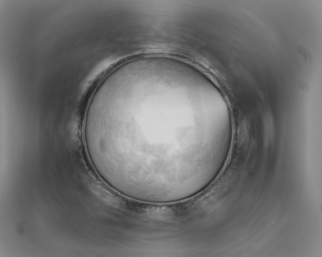 X0000112091454200908041440