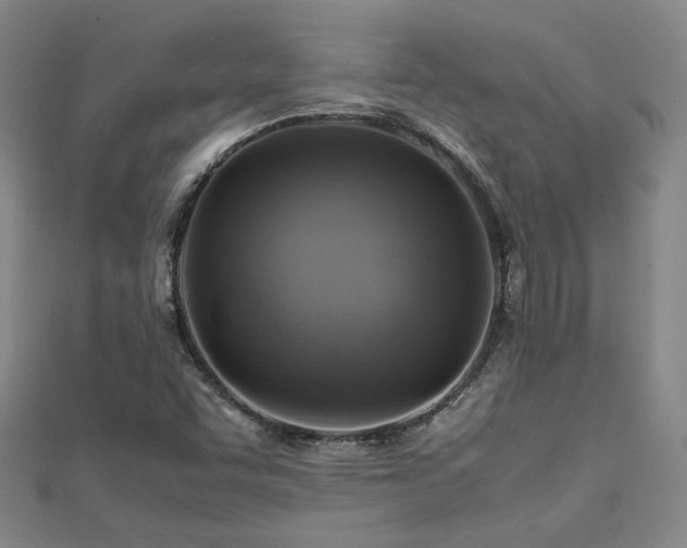 X0000112091455200908041440