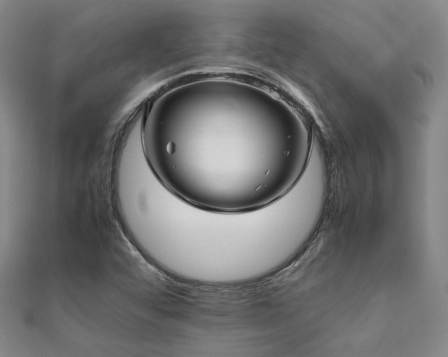 X0000112091456200908041440