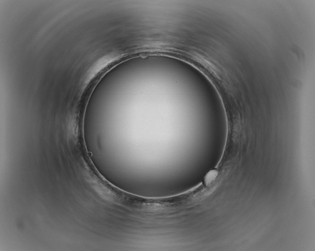 X0000112091458200908041440