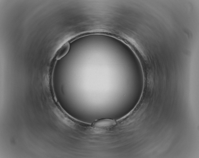 X0000112091460200908041440