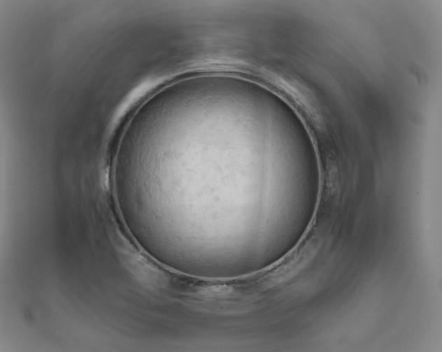 X0000112091462200908041440