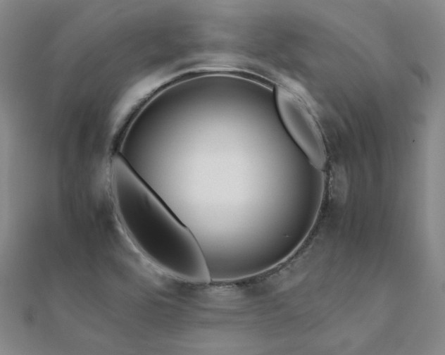 X0000112091464200908041440